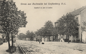 Senftenberg